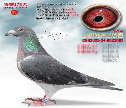 ����ׯ����175��