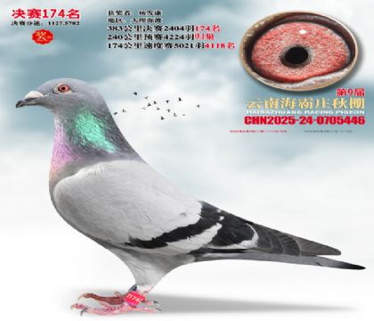 ����ׯ����174��