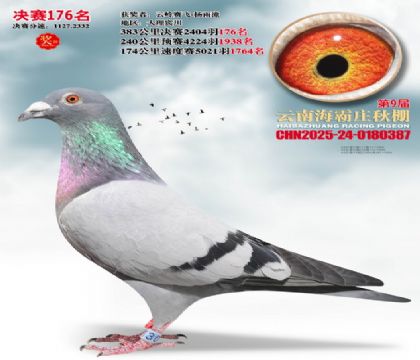 ����ׯ����176��