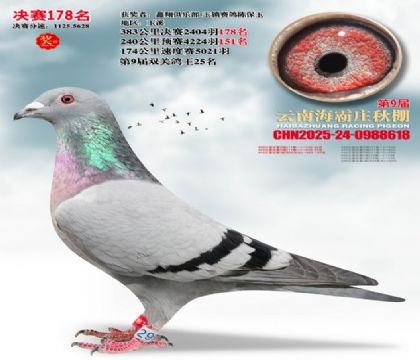 ����ׯ����178��