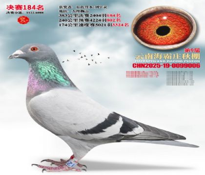 ����ׯ����184��