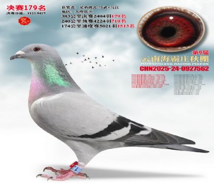 ����ׯ����179��