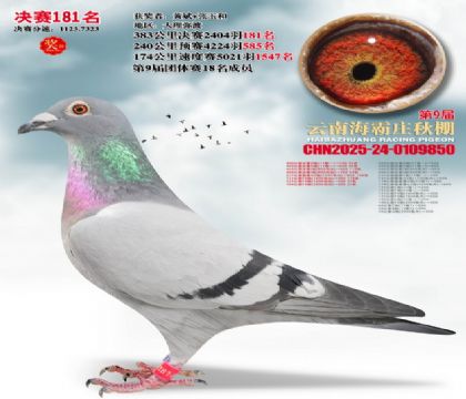 ����ׯ����181��