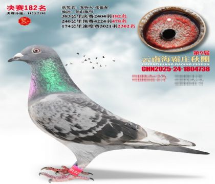 ����ׯ����182��