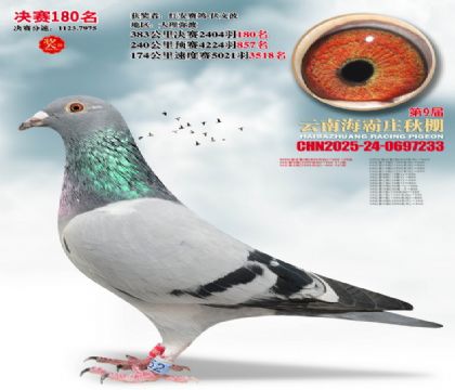 ����ׯ����180��