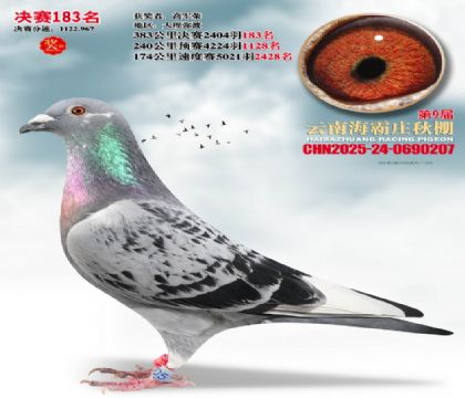 ����ׯ����183��