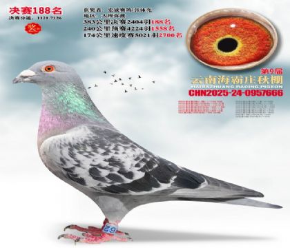 ����ׯ����188��