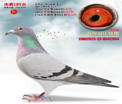 ����ׯ����189��