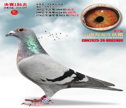 ����ׯ����186��