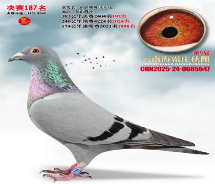 ����ׯ����187��