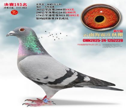 ����ׯ����193��