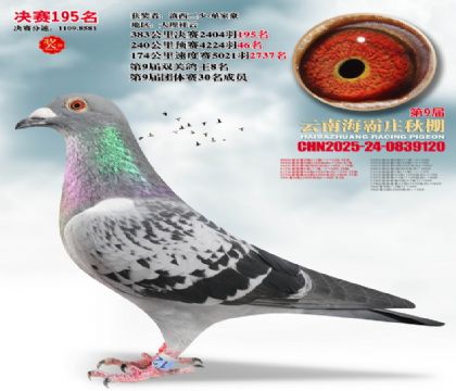 ����ׯ����195��