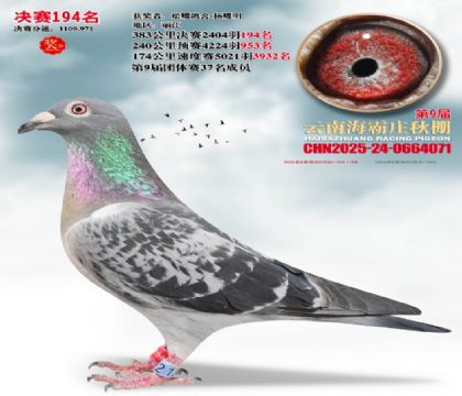 ����ׯ����194��