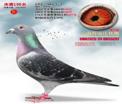 ����ׯ����190��