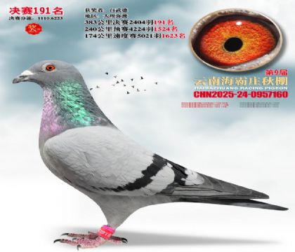 ����ׯ����191��