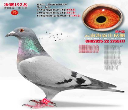 ����ׯ����192��