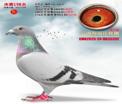 ����ׯ����198��