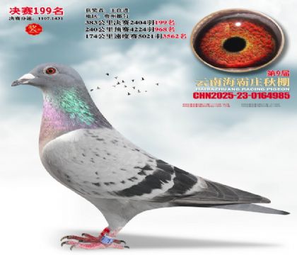 ����ׯ����199��