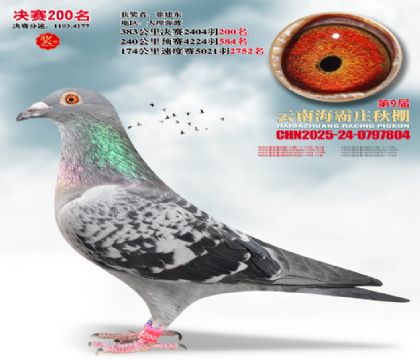 ����ׯ����200��