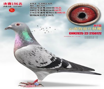 ����ׯ����196��