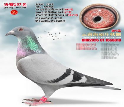 ����ׯ����197��