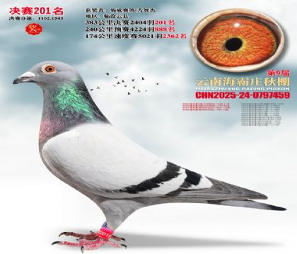 ����ׯ����201��