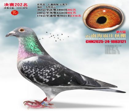 ����ׯ����202��