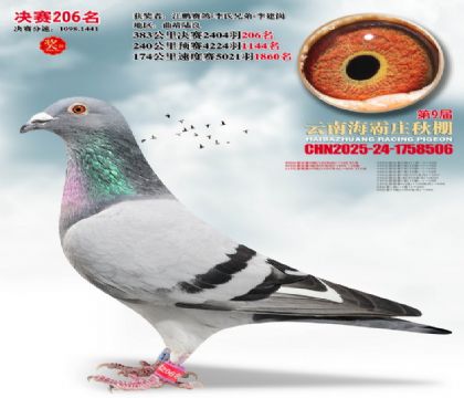 ����ׯ����206��