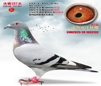 ����ׯ����207��