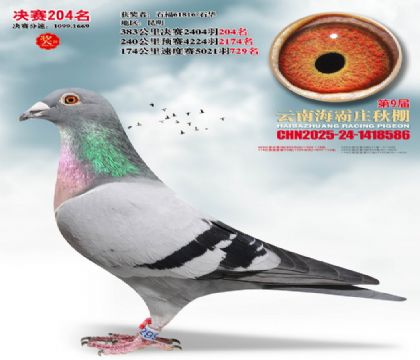 ����ׯ����204��