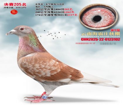 ����ׯ����205��