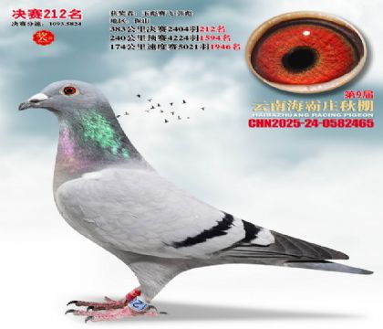 ����ׯ����212��