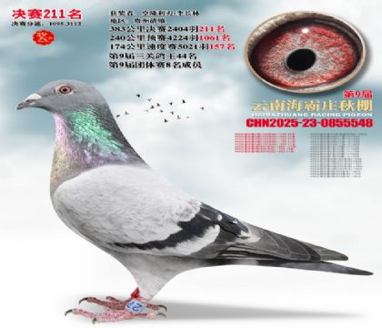 ����ׯ����211��