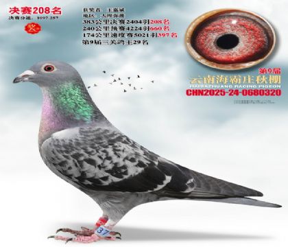 ����ׯ����208��