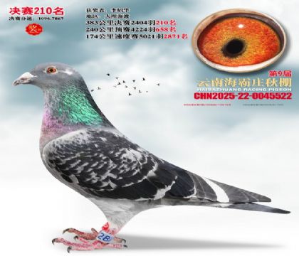 ����ׯ����210��