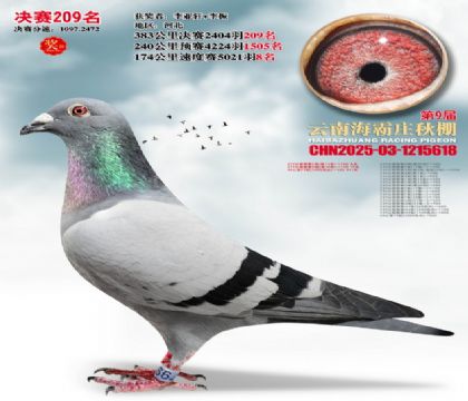 ����ׯ����209��