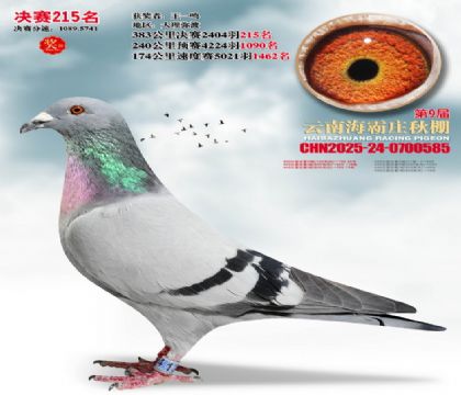 ����ׯ����215��