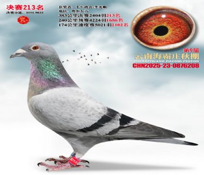 ����ׯ����213��