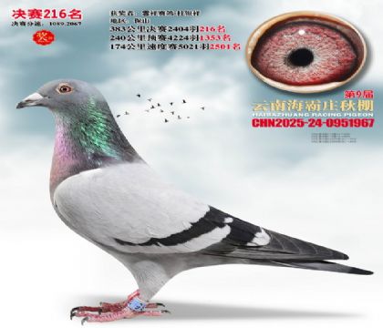 ����ׯ����216��