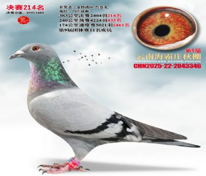 ����ׯ����214��