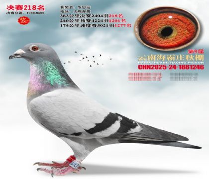 ����ׯ����218��