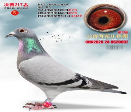 ����ׯ����217��