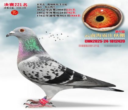 ����ׯ����221��