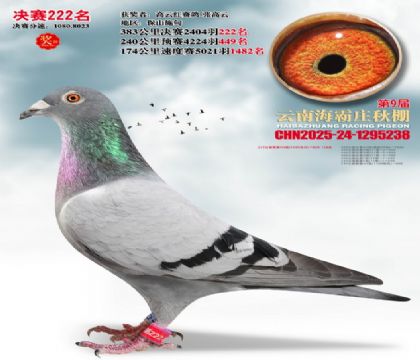 ����ׯ����222��