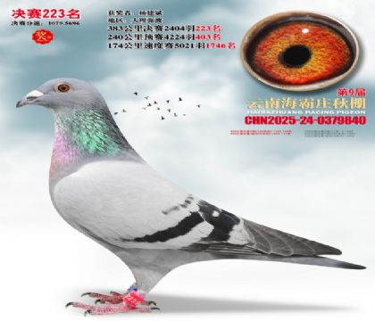 ����ׯ����223��