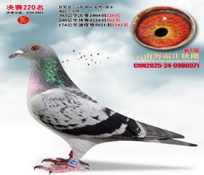 ����ׯ����220��