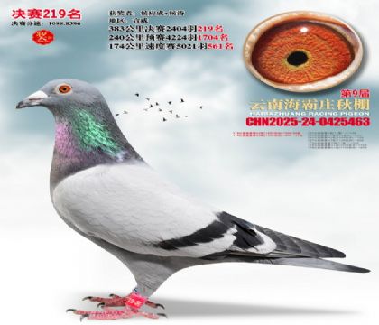 ����ׯ����219��