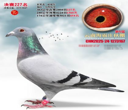 ����ׯ����227��