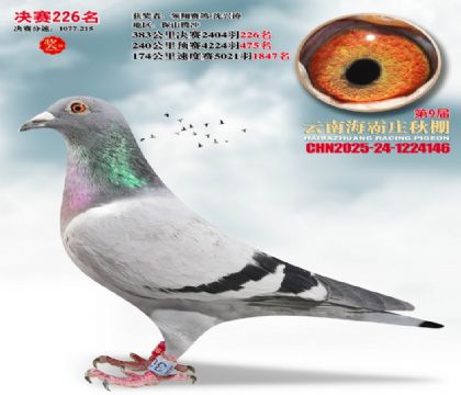 ����ׯ����226��