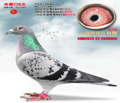 ����ׯ����228��